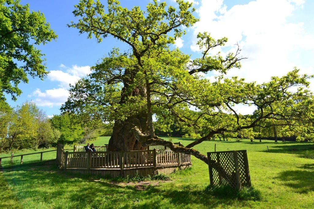 Brocéliande : votre prochaine destination touristique